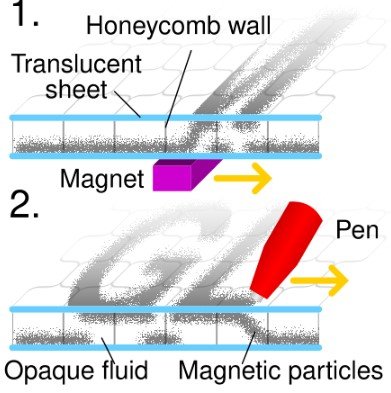 Educational Advantages for Children